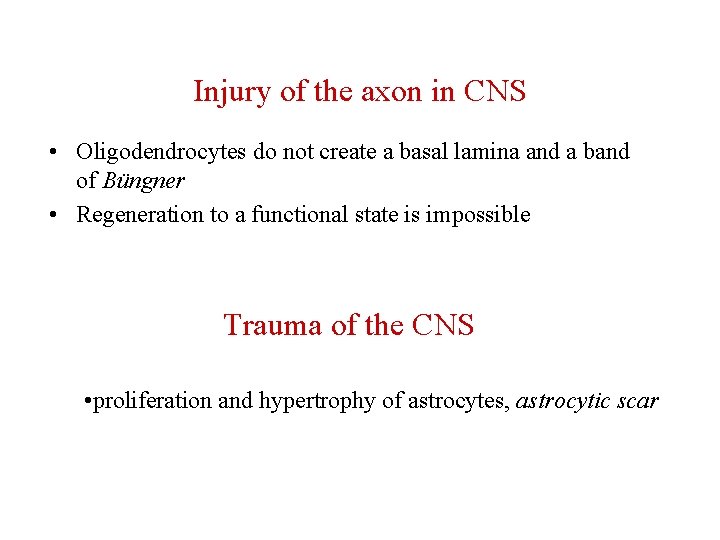 Injury of the axon in CNS • Oligodendrocytes do not create a basal lamina