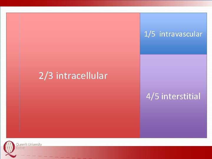 1/5 intravascular 1/3 Litres extracellular 602/3 tointracellular 70% water = 42 4/5 interstitial 
