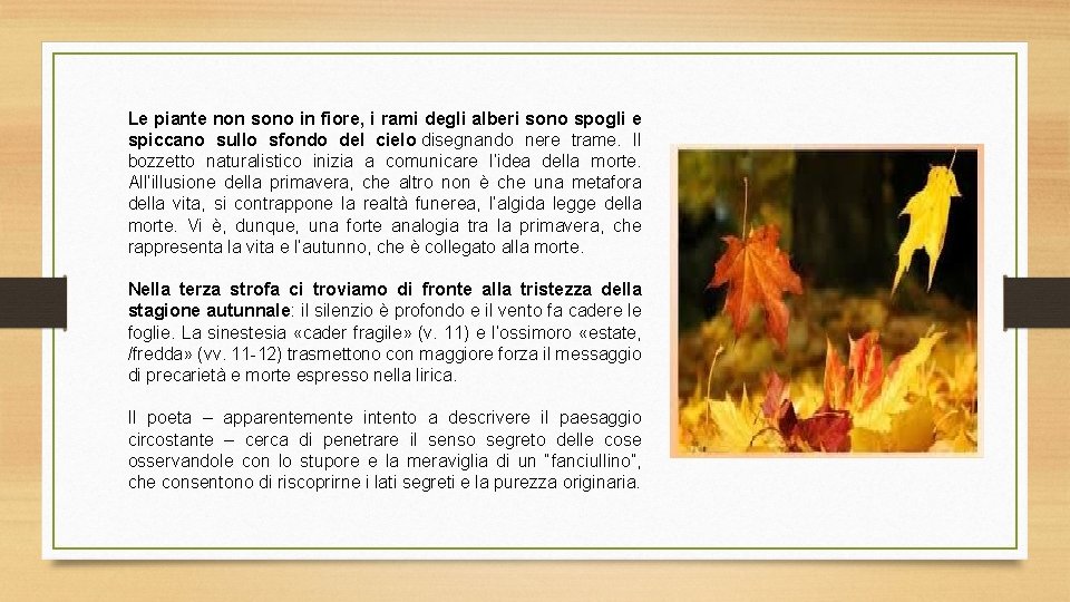 Le piante non sono in fiore, i rami degli alberi sono spogli e spiccano