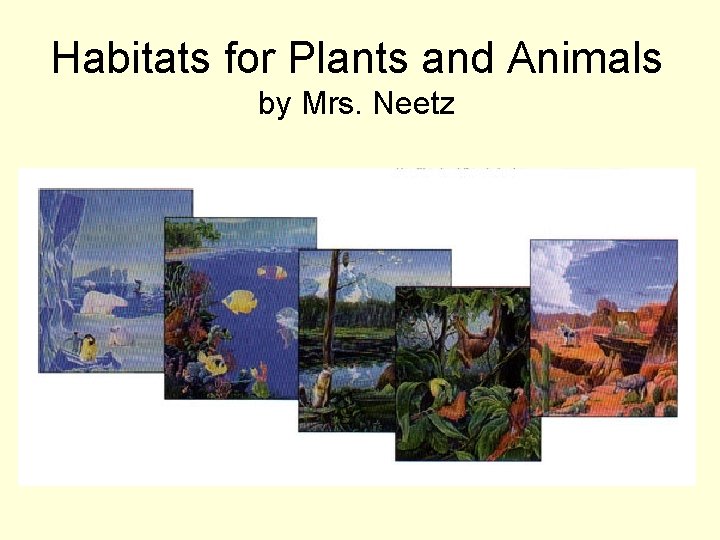 Habitats for Plants and Animals by Mrs. Neetz 