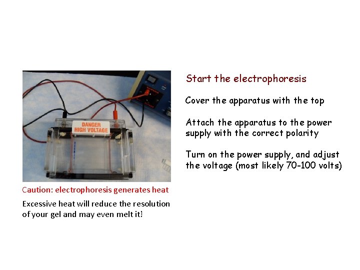 Start the electrophoresis Cover the apparatus with the top Attach the apparatus to the