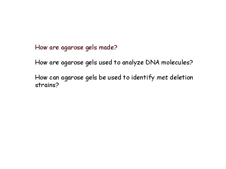 How are agarose gels made? How are agarose gels used to analyze DNA molecules?