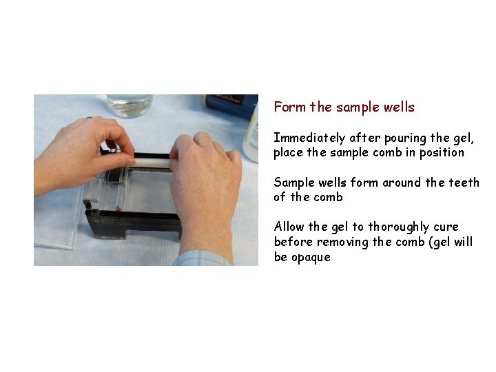 Form the sample wells Immediately after pouring the gel, place the sample comb in