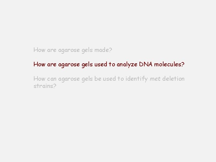 How are agarose gels made? How are agarose gels used to analyze DNA molecules?