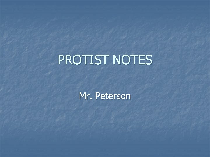 PROTIST NOTES Mr. Peterson 