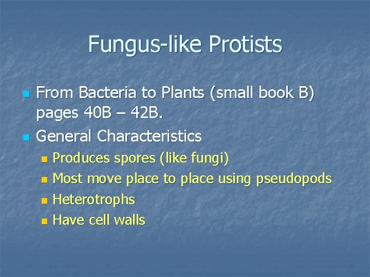 Fungus-like Protists n n From Bacteria to Plants (small book B) pages 40 B