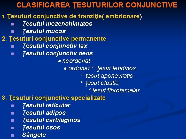 CLASIFICAREA ŢESUTURILOR CONJUNCTIVE 1. Ţesuturi conjunctive de tranziţie( embrionare) n Ţesutul mezenchimatos n Ţesutul