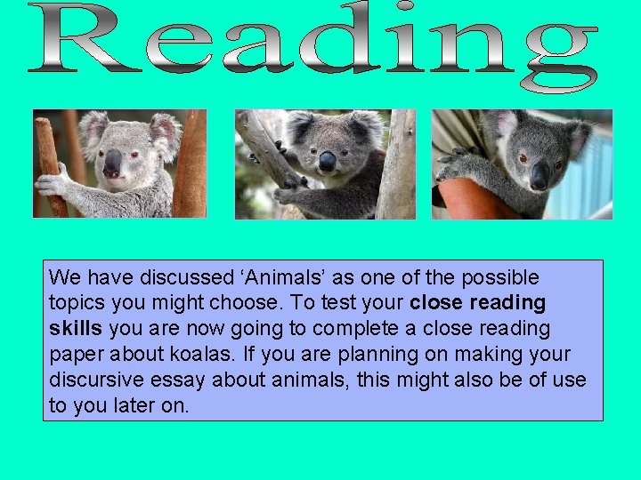 We have discussed ‘Animals’ as one of the possible topics you might choose. To