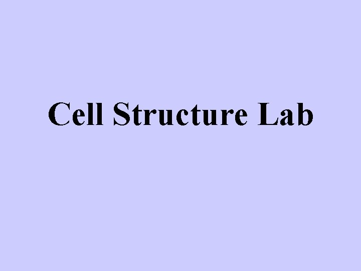 Cell Structure Lab 