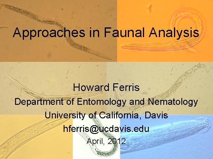 Approaches in Faunal Analysis Howard Ferris Department of Entomology and Nematology University of California,