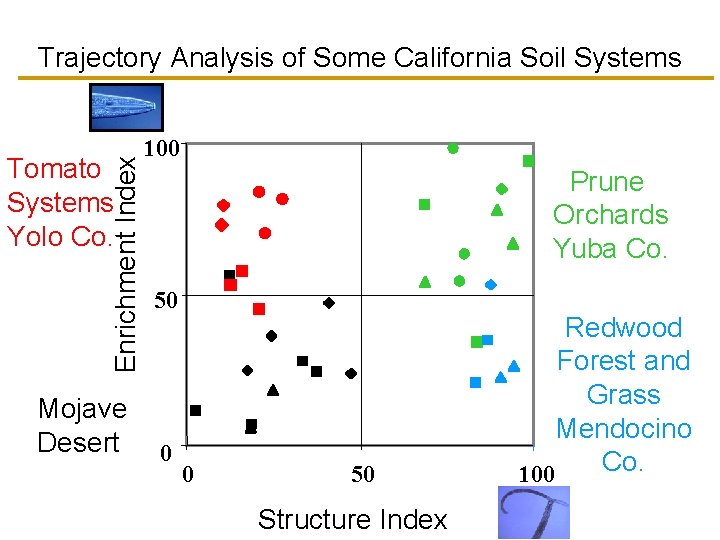 Trajectory Analysis of Some California Soil Systems Enrichment Index Tomato Systems Yolo Co. Mojave