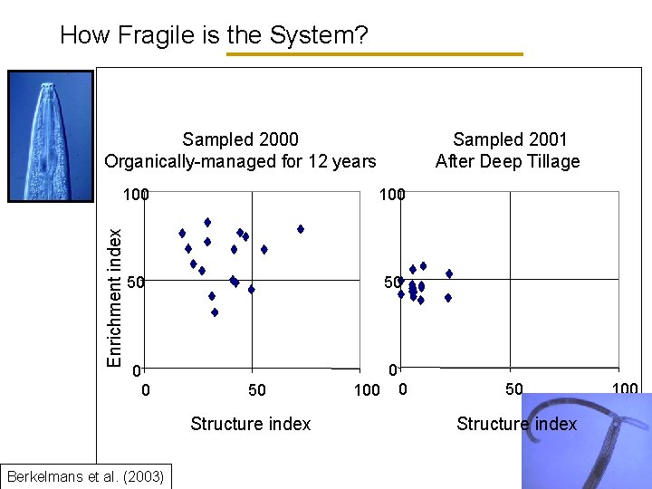 How Fragile is the System? Sampled 2000 Organically-managed for 12 years Enrichment index 100