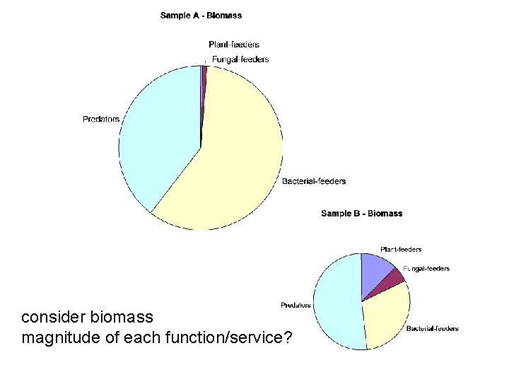 consider biomass magnitude of each function/service? 