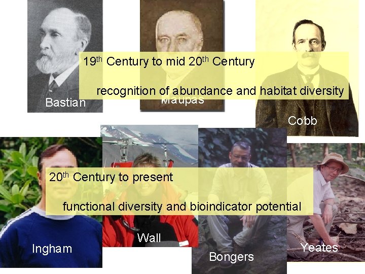 19 th Century to mid 20 th Century recognition of abundance and habitat diversity