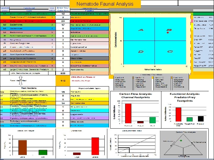 Faunal Analysis Nematode Ecology Nematode Faunal Analysis A Database of Ecophysiological Parameters in Nemaplex