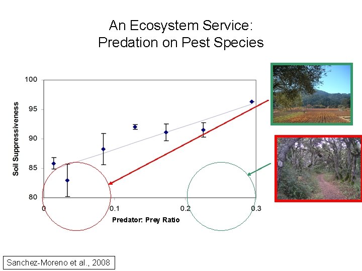 An Ecosystem Service: Predation on Pest Species Predator: Prey Ratio Sanchez-Moreno et al. ,