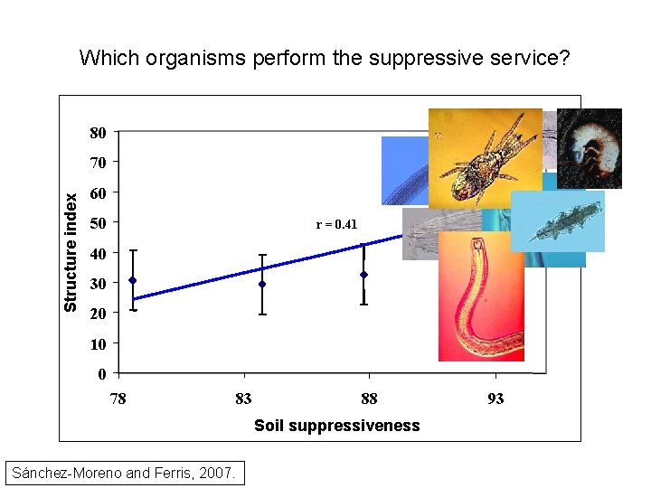 Which organisms perform the suppressive service? 80 Structure index 70 60 50 r =