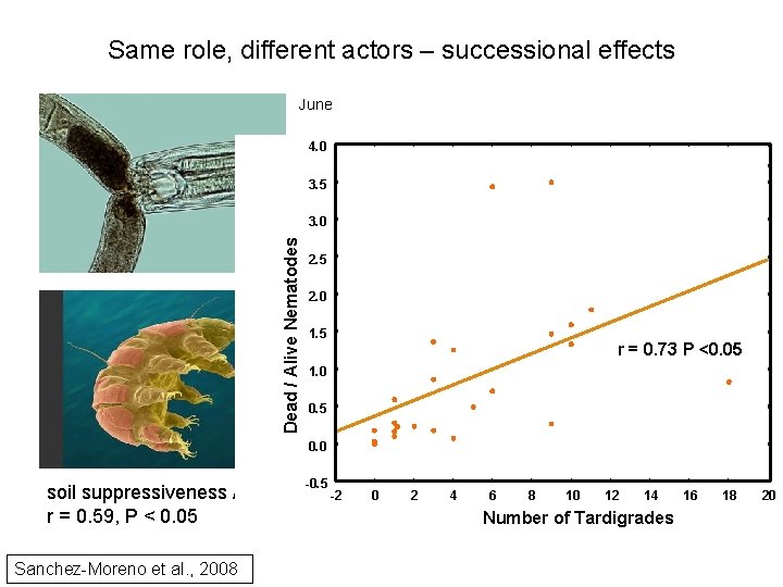 Same role, different actors – successional effects June 4. 0 Tardigrades / suppressiveness R