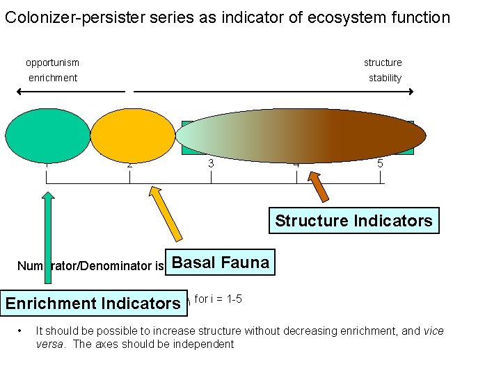 Colonizer-persister series as indicator of ecosystem function opportunism structure enrichment stability 1 2 3