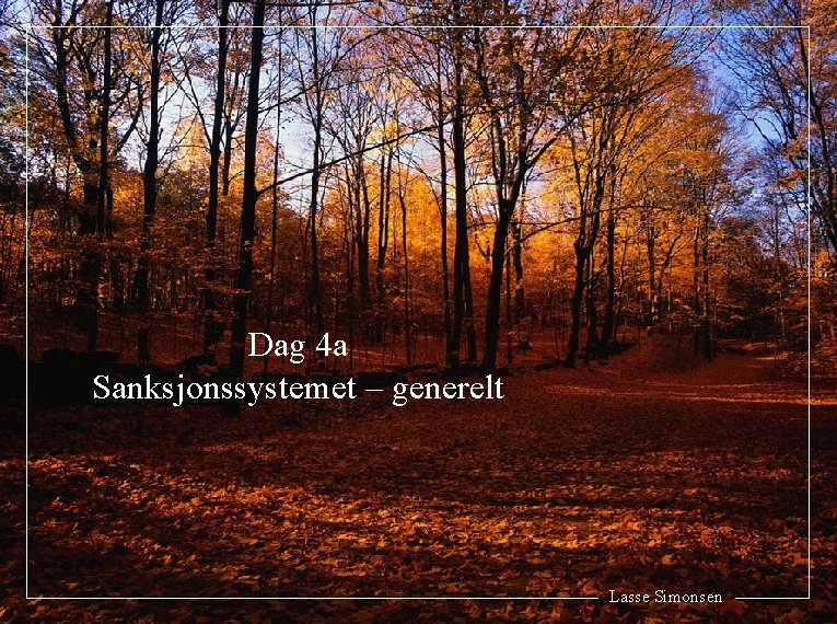 Dag 4 a Sanksjonssystemet – generelt Lasse Simonsen 