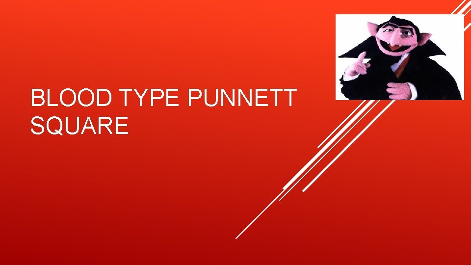 BLOOD TYPE PUNNETT SQUARE 