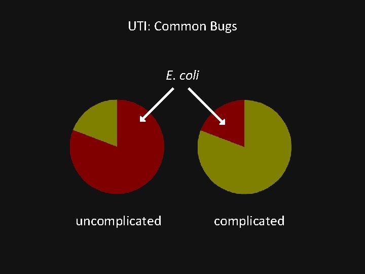 UTI: Common Bugs E. coli uncomplicated 