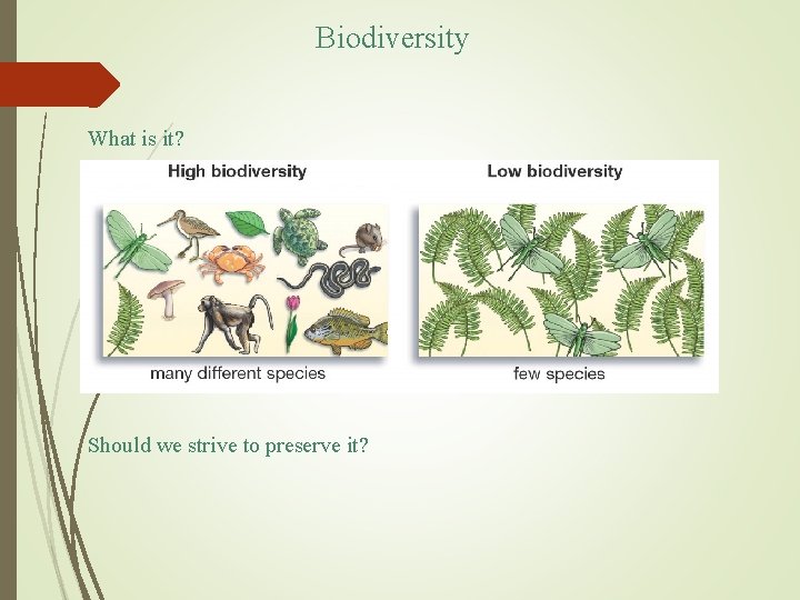 Biodiversity What is it? Should we strive to preserve it? 