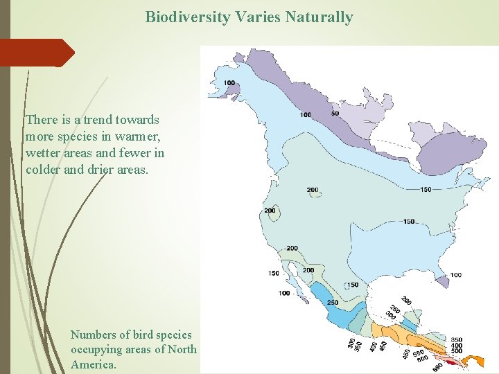 Biodiversity Varies Naturally There is a trend towards more species in warmer, wetter areas