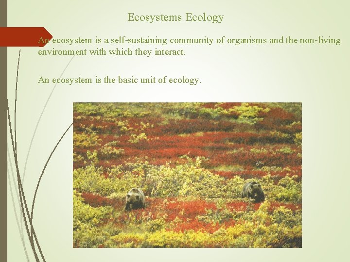 Ecosystems Ecology An ecosystem is a self-sustaining community of organisms and the non-living environment