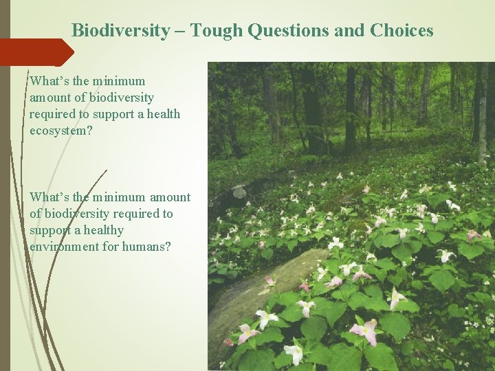 Biodiversity – Tough Questions and Choices What’s the minimum amount of biodiversity required to