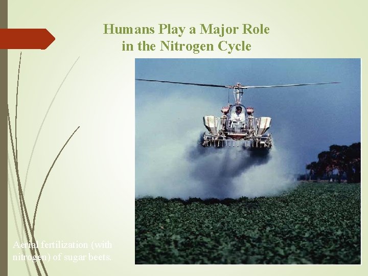 Humans Play a Major Role in the Nitrogen Cycle Aerial fertilization (with nitrogen) of