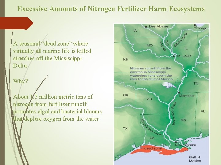 Excessive Amounts of Nitrogen Fertilizer Harm Ecosystems A seasonal “dead zone” where virtually all