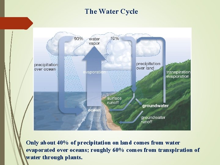 The Water Cycle Only about 40% of precipitation on land comes from water evaporated