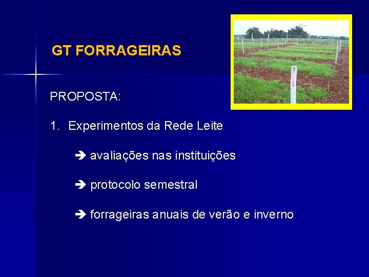 GT FORRAGEIRAS PROPOSTA: 1. Experimentos da Rede Leite avaliações nas instituições protocolo semestral forrageiras