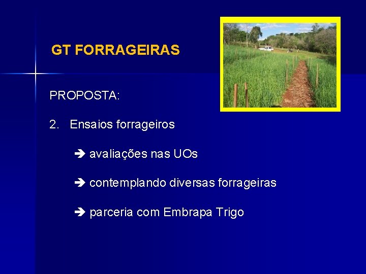 GT FORRAGEIRAS PROPOSTA: 2. Ensaios forrageiros avaliações nas UOs contemplando diversas forrageiras parceria com