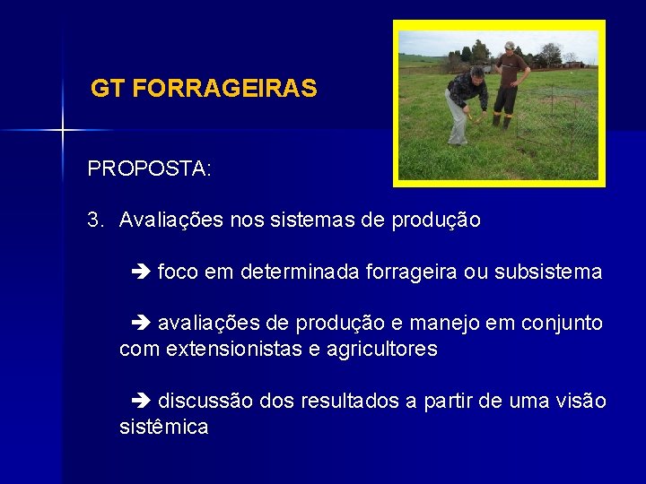 GT FORRAGEIRAS PROPOSTA: 3. Avaliações nos sistemas de produção foco em determinada forrageira ou