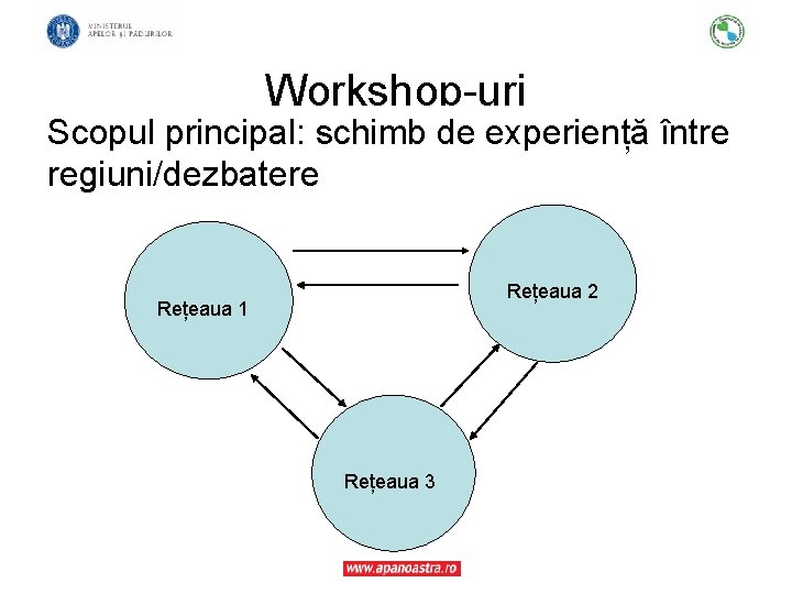 Workshop-uri Scopul principal: schimb de experiență între regiuni/dezbatere Rețeaua 2 Rețeaua 1 Rețeaua 3