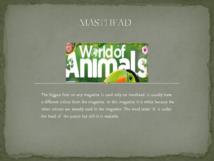 MASTHEAD The biggest font on any magazine is used only on masthead. It usually