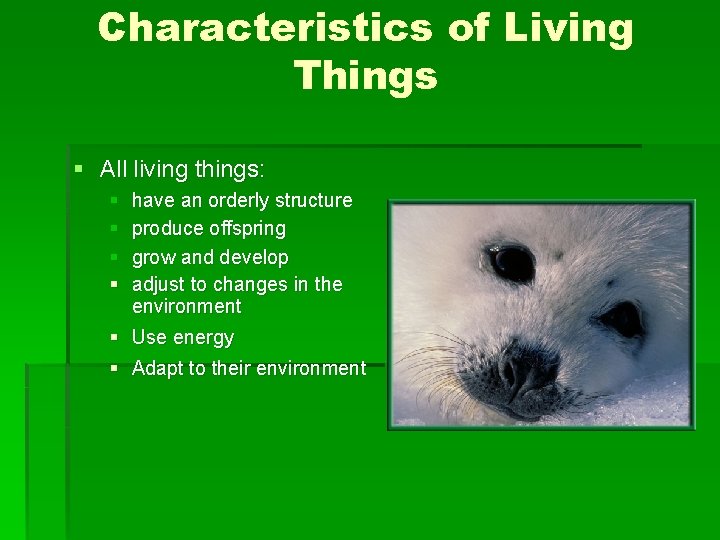 Characteristics of Living Things § All living things: § § have an orderly structure