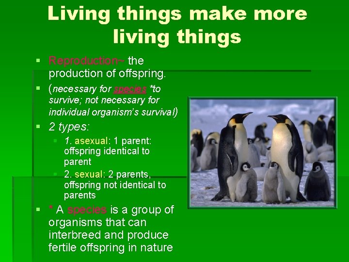 Living things make more living things § Reproduction~ the production of offspring. § (necessary