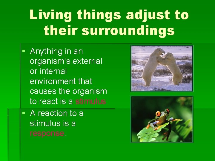 Living things adjust to their surroundings § Anything in an organism’s external or internal