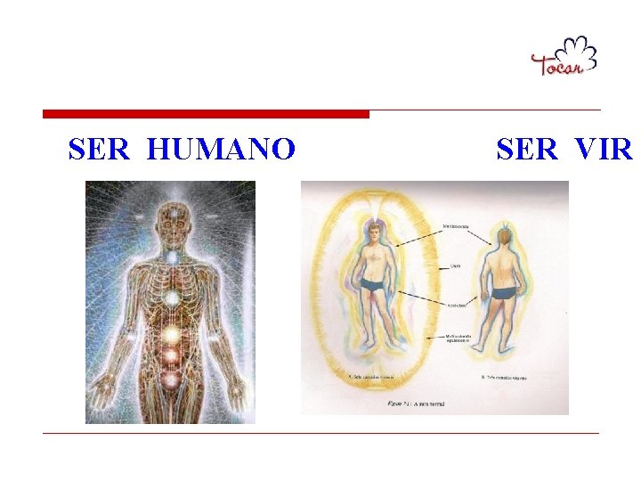 SER HUMANO SER VIR 