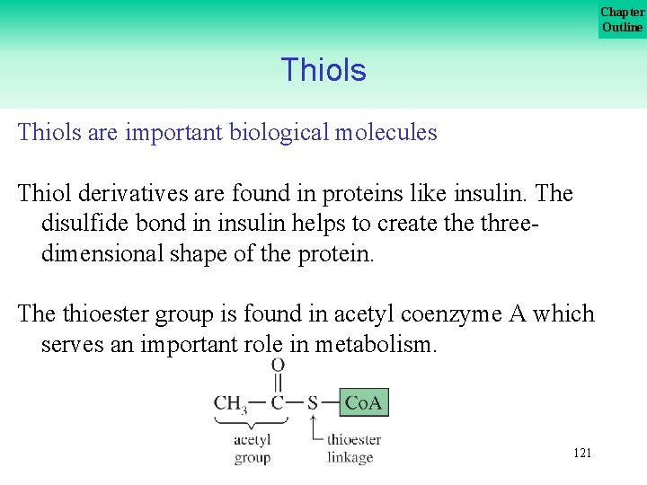 Chapter Outline Thiols are important biological molecules Thiol derivatives are found in proteins like