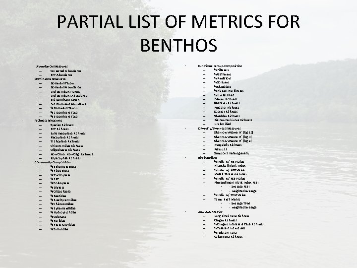 PARTIAL LIST OF METRICS FOR BENTHOS • • Abundance Measures – Corrected Abundance –