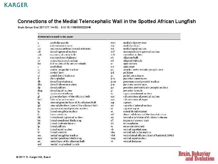 Connections of the Medial Telencephalic Wall in the Spotted African Lungfish Brain Behav Evol