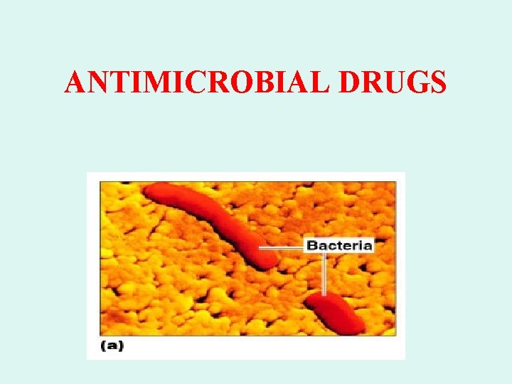 ANTIMICROBIAL DRUGS 
