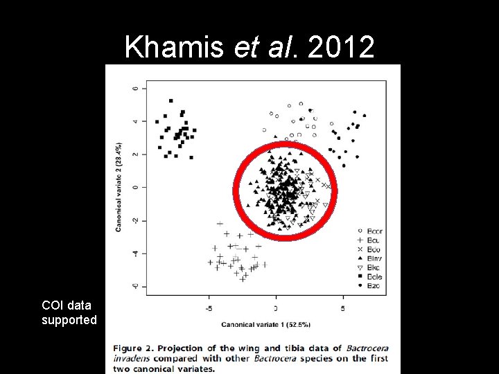 Khamis et al. 2012 COI data supported 