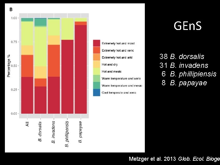 GEn. S 38 B. dorsalis 31 B. invadens 6 B. phillipiensis 8 B. papayae