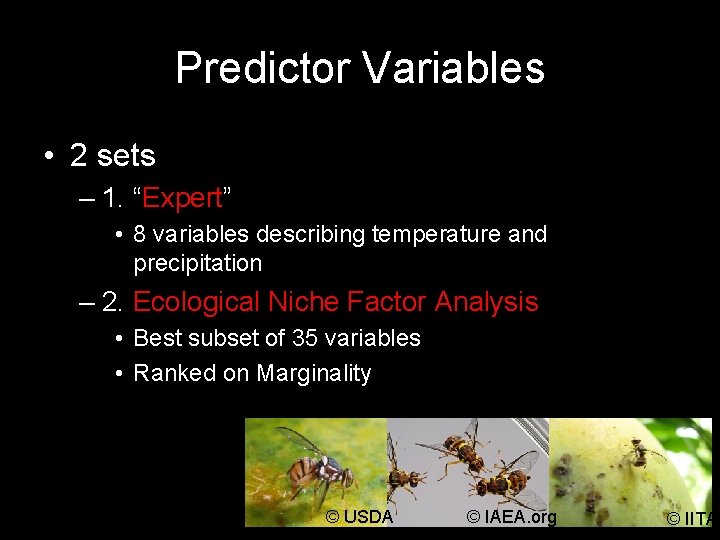 Predictor Variables • 2 sets – 1. “Expert” • 8 variables describing temperature and