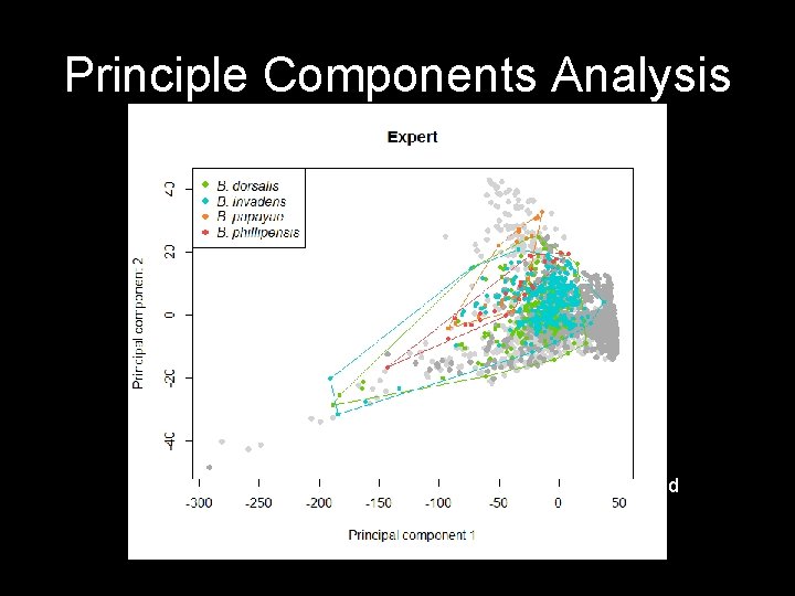 Principle Components Analysis Expert ENFA-derived 